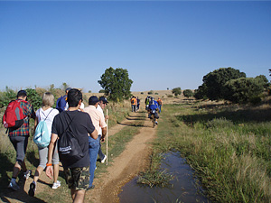 Camino de Santiago